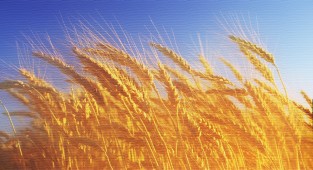 Christ Ahnsahnghong and the Passover